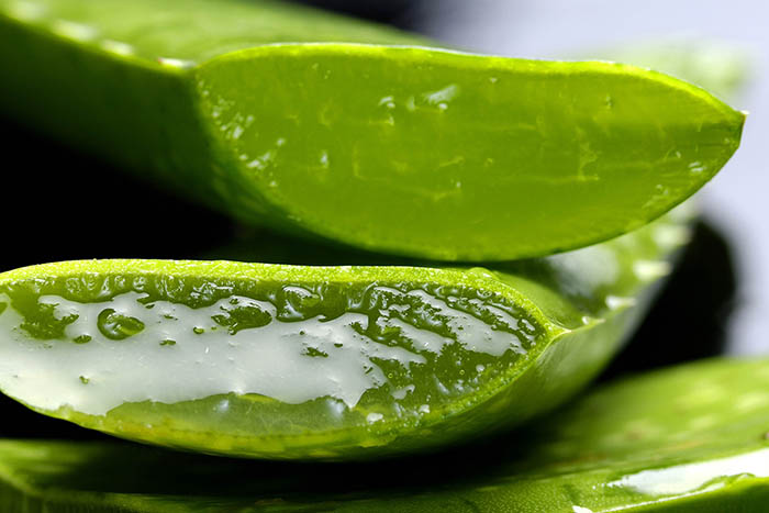 Hoja de aloe vera